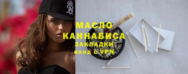 гашик Краснослободск