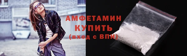 гашик Краснослободск