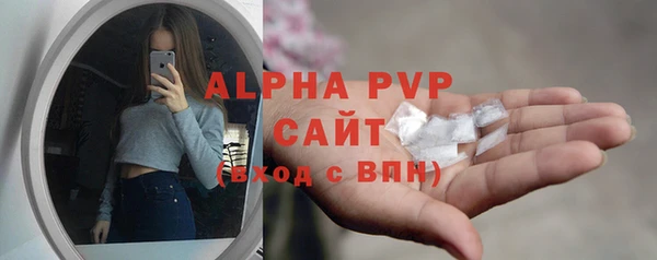 гашик Краснослободск