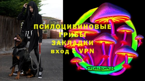 гашик Краснослободск