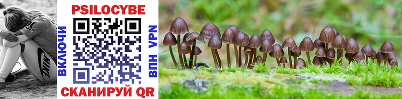 Псилоцибиновые грибы Cubensis  Медвежьегорск 